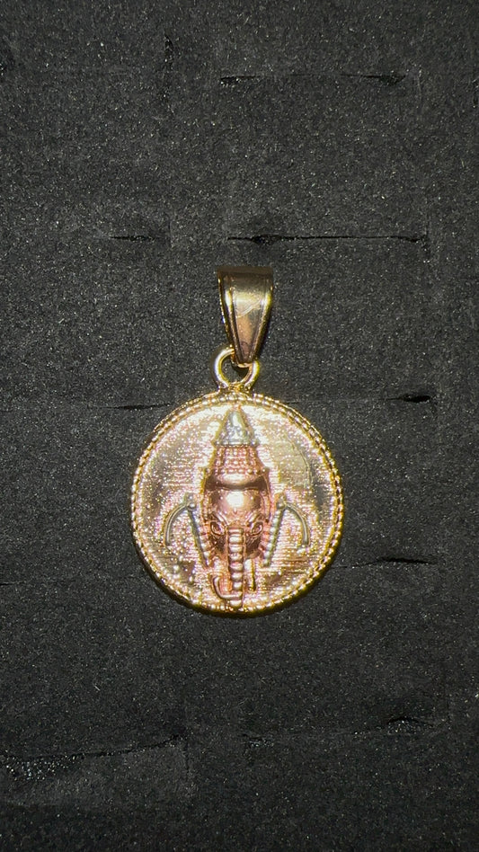 Fortune Guardian Medallion